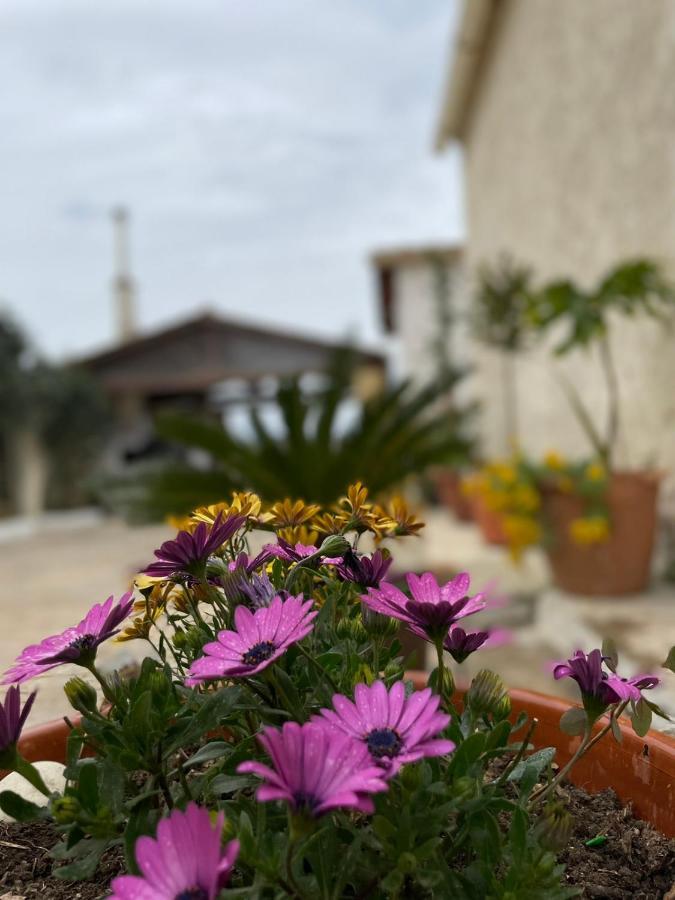 Villa Anasandra - 3 Bedroom Villa Kompitsion Экстерьер фото